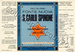 S. Carlo Spinone Fonte Nuova (analisi 1971) VE Nat 0,92 L