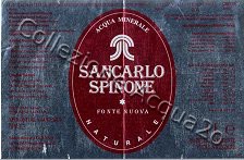 Sancarlo Spinone Fonte Nuova (analisi 2003) vetro Nat 1,0 L