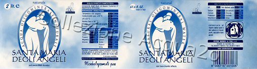 Santa Maria degli Angeli (analisi 2004) -fondo azzurro con nuvole- PET Nat 2,0 L