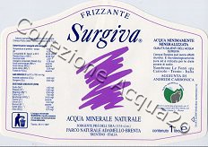 Surgiva (analisi 1997) -etichetta trapezoidale- vetro Friz 1,0 LL